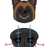Illustration_01-module3
